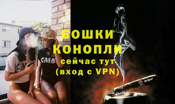 альфа пвп Горно-Алтайск