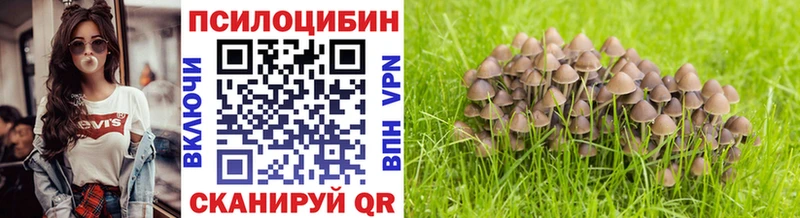 Купить  Серпухов  Галлюциногенные грибы ЛСД 