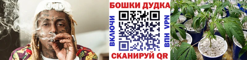 Конопля ГИДРОПОН  Купить  Серпухов 